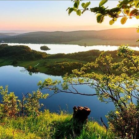 NeyGite Jura Mina Chalet Au Milieu De La Nature别墅 外观 照片