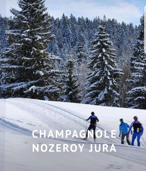 NeyGite Jura Mina Chalet Au Milieu De La Nature别墅 外观 照片
