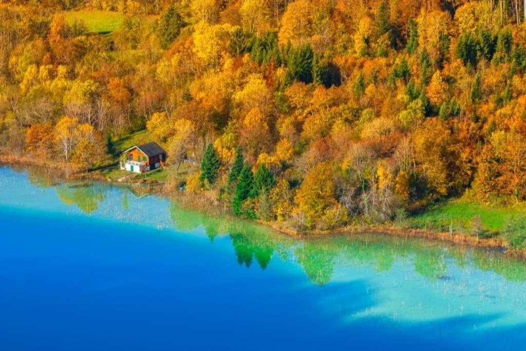 NeyGite Jura Mina Chalet Au Milieu De La Nature别墅 外观 照片