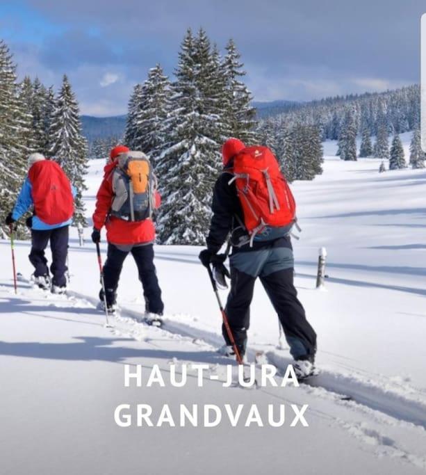 NeyGite Jura Mina Chalet Au Milieu De La Nature别墅 外观 照片