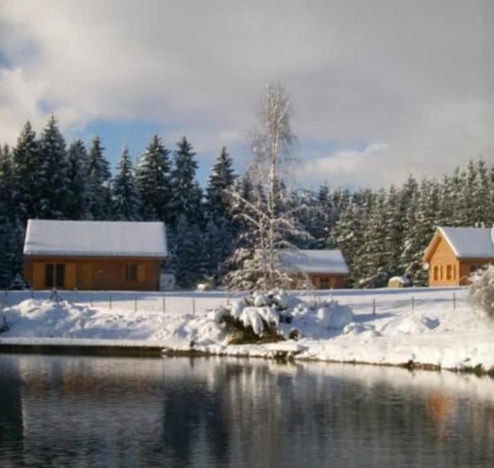 NeyGite Jura Mina Chalet Au Milieu De La Nature别墅 外观 照片
