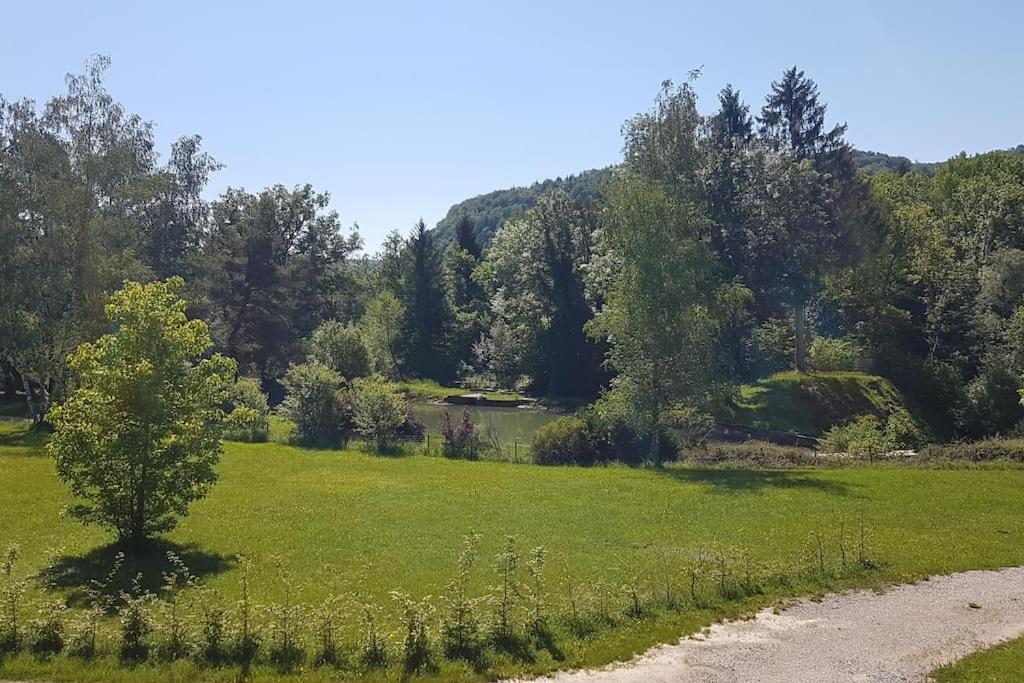 NeyGite Jura Mina Chalet Au Milieu De La Nature别墅 外观 照片