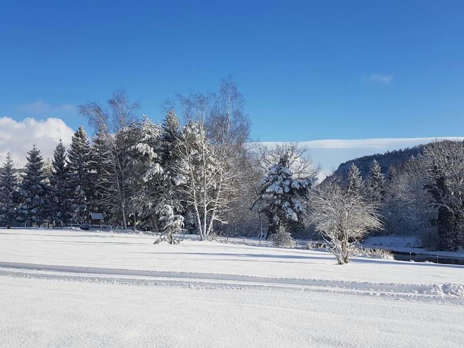 NeyGite Jura Mina Chalet Au Milieu De La Nature别墅 外观 照片
